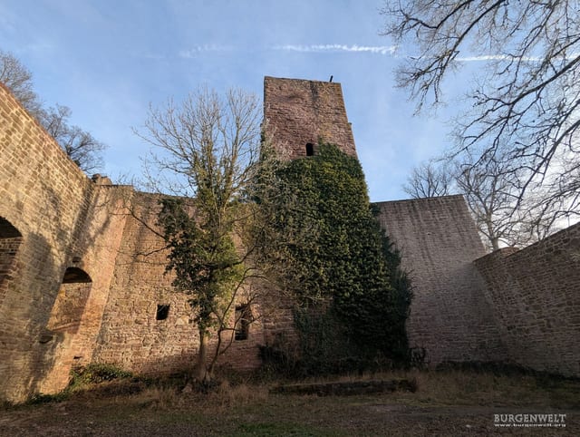 Ruinas del castillo Liebeneck — excursión en la Selva Negra del norte