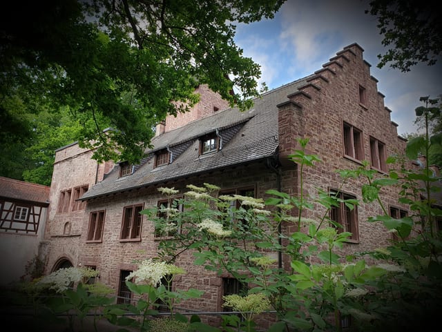 El castillo de los señores de Gemmingen en Steinegg — excursión en la Selva Negra del norte