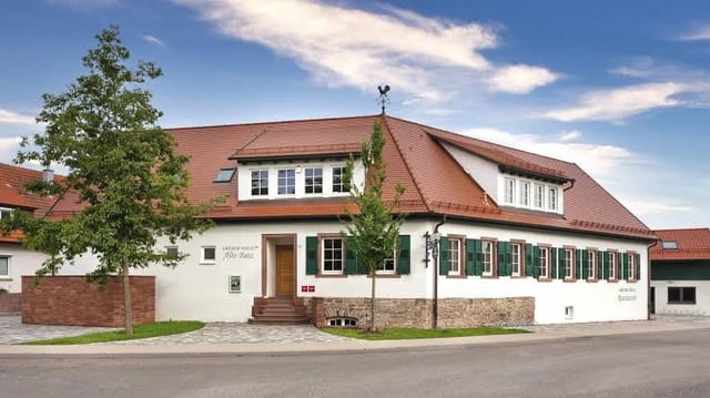 Grüner Wald · Alte Baiz — excursión en la Selva Negra del norte