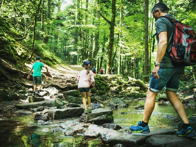 Monbachschlucht — excursión en la Selva Negra del norte