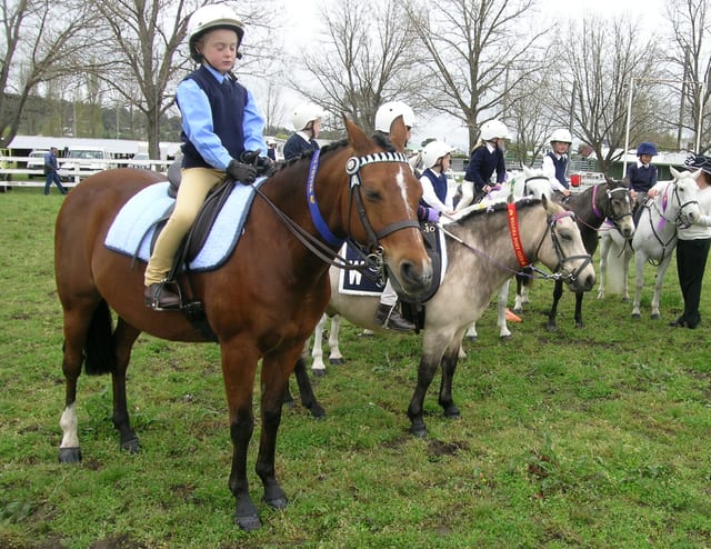 Ponyreiten · Gechingen