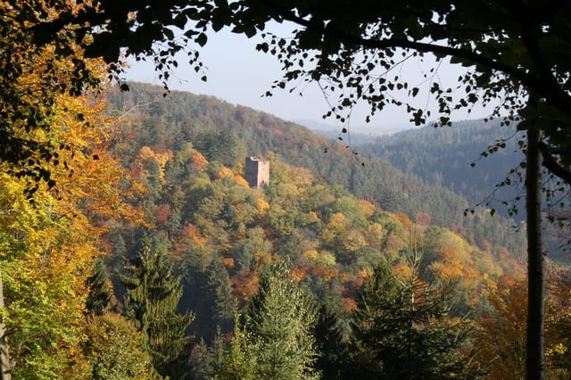 Rund um Hohenwart