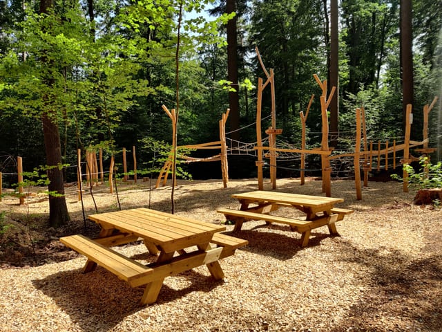 Parques infantiles forestales Schellbronn