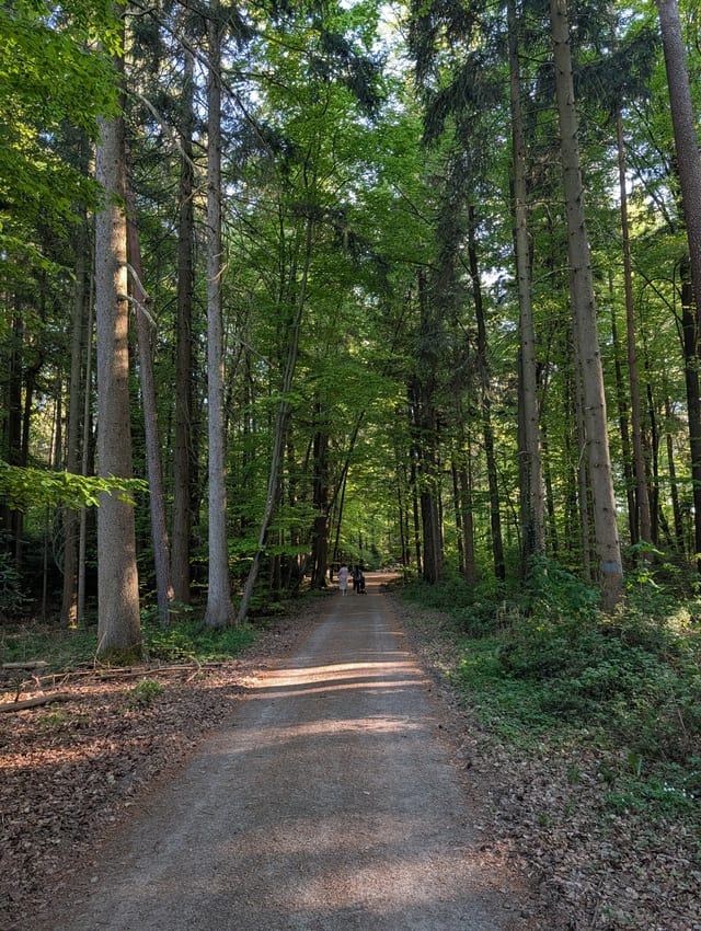 Waldwege ab Haustür