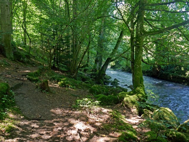 Valle del Würm — excursión en la Selva Negra del norte