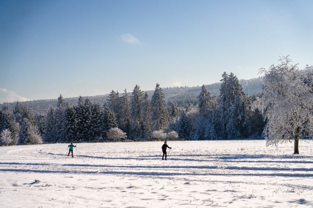 Die Sonneninsel Dobel – Loipen im Winter — Ausflugsziel Nordschwarzwald
