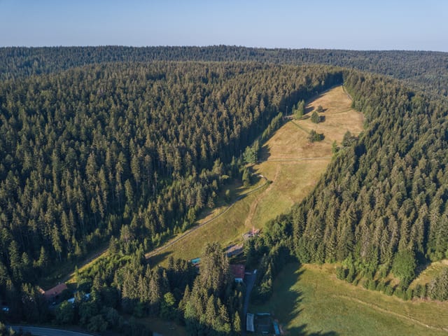 Riesenrutschbahn Poppeltal · Enzklösterle — Ausflugsziel Nordschwarzwald