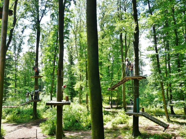 Waldhochseilgarten Rutesheim — Ausflugsziel Nordschwarzwald